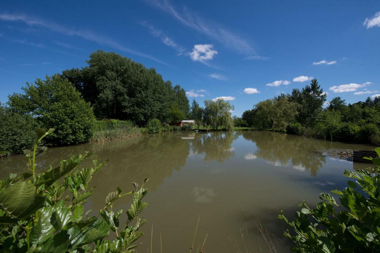 Gite Des Peupliers Girondelle Exterior photo